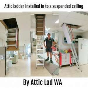 access ladder for suspended ceilings